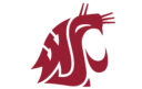 Washington State Logo