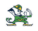 Notre Dame Logo